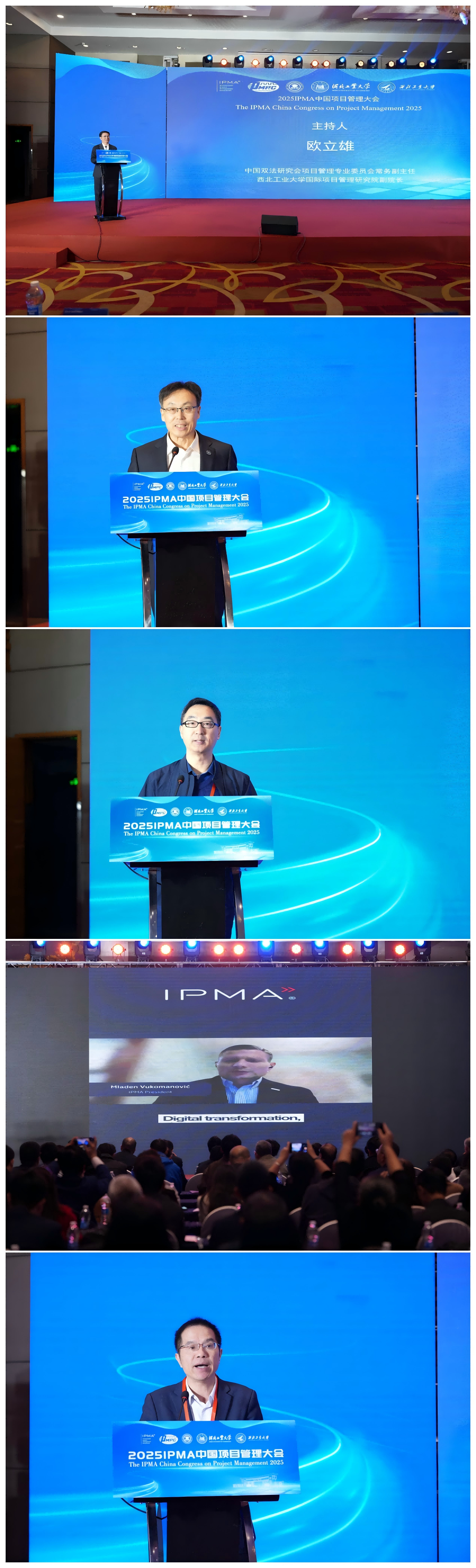WPS拼图0(1).png